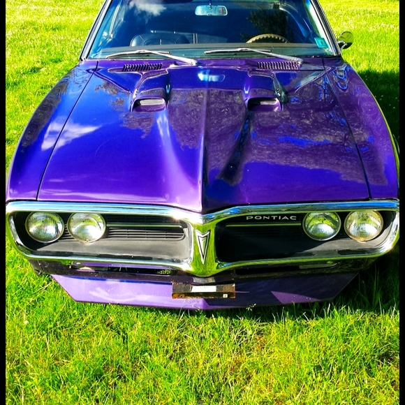 Meet your Posher, Roman - Picture 2 of 2